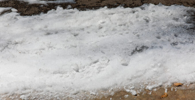 Environmental Hazard: Toxic PFOS Firefighting Foam Spill on Urban Street